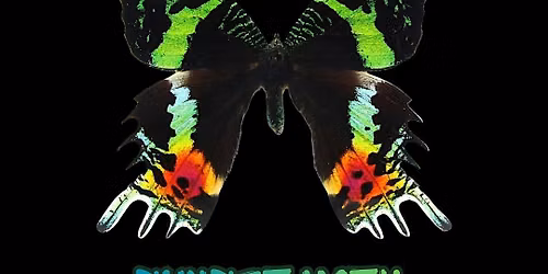 Sunset Moth Pinning Class