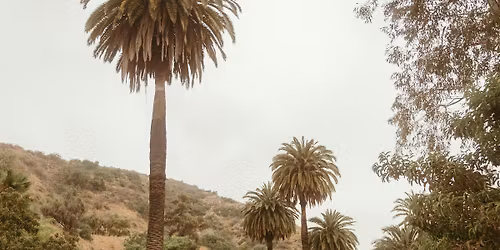 Women of Wellness Group Hike to Glendale Peak