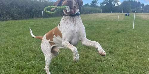 Weekend Warriors Classes 