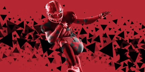Pittsburgh Steelers vs. Atlanta Falcons