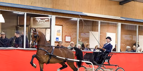 Tuigpaardendag Twente 2026