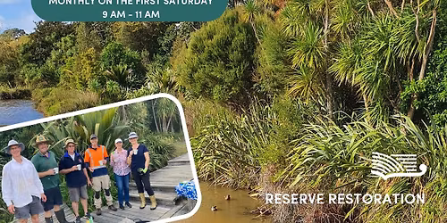 Bayside Drive Reserve - Volunteer Restoration Morning
