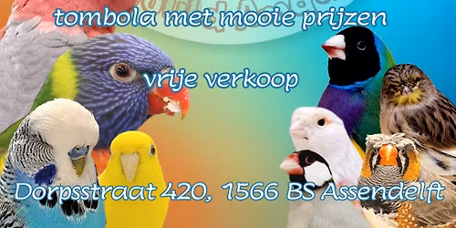 vogelshow 2025