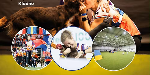 Semin\u00e1\u0159 agility se Susan Koldenhof