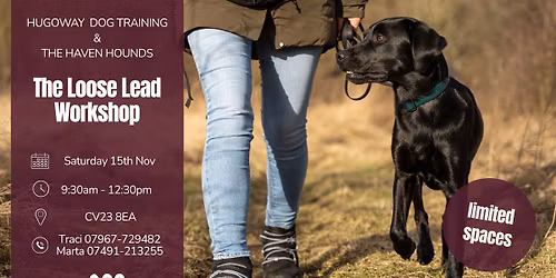 The Loose Lead Workshop
