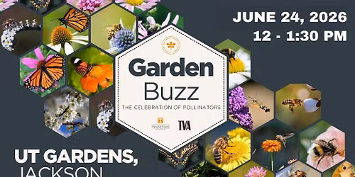 Garden Buzz: The Celebration of Pollinators