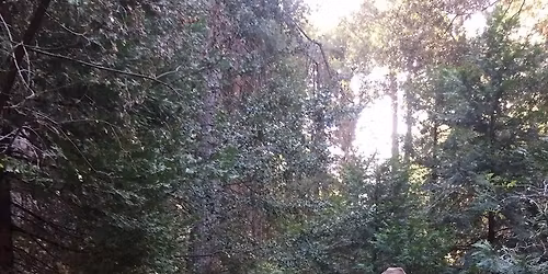 Stewardship Day: Trail Clearing and Mustard Removal