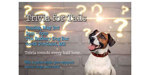 Old Dogs New Digs: Trivia at The Barkery Dog Bar