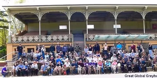 Great Global Greyhound Walk 2026