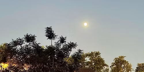 Sound Bowl Saturdays