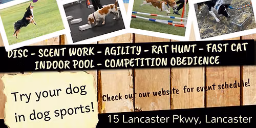 Premier Dog Sports Dog Fest