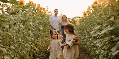 ๐ป Sunflower Mini Sessions 2026