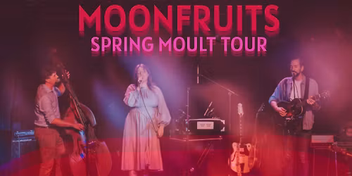 Moonfruits LIVE at DROM Taberna