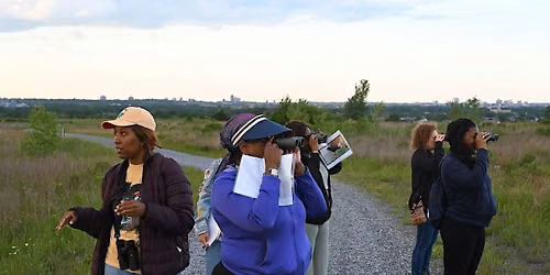 Sunset Migratory Bird Walk