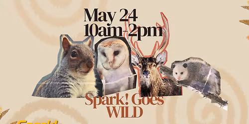 Spark! Goes WILD