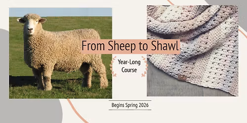 Sheep to Shawl 2026