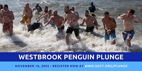 Westbrook Penguin Plunge hosted by the Clinton PD and Madison PD