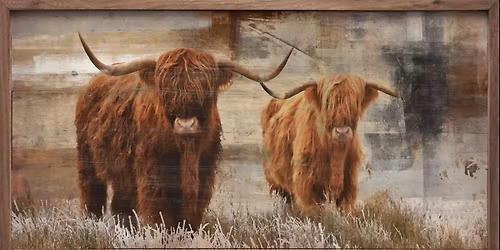 2025 Christmas Open House