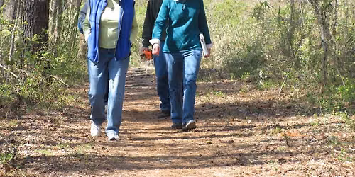 Second Saturday Evening Hike