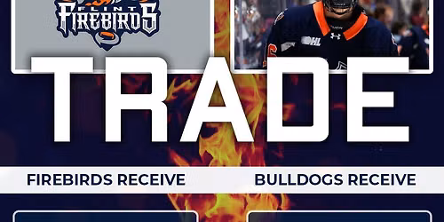 Flint Firebirds at Brantford Bulldogs at TD Civic Centre