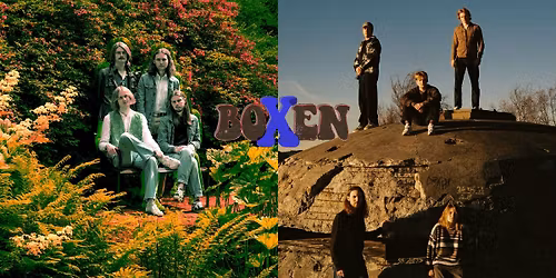 WAX LIZRD og SN\u00c4RK \/\/ BOXEN