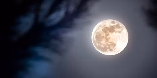 Snow Moon | Moonlight Swimming