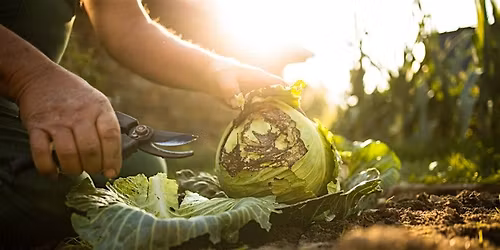 Fall Gardening Tips and Tasks: 9\/12\/2026 10:00am @ Cheyenne Arapaho Park
