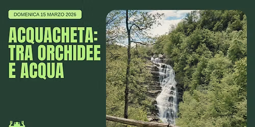 Acquacheta: tra orchidee e acqua🪻