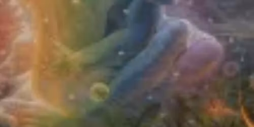 S kojom svrhom sam za\u010det\/a?