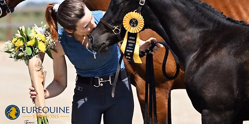 Hanoverian & Rhineland Inspection - Eurequine LLC