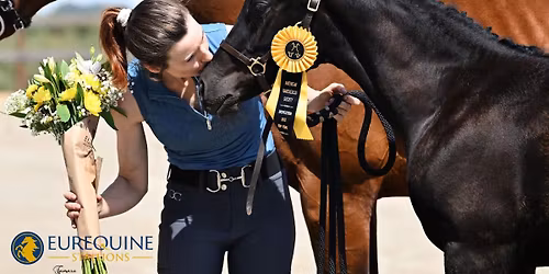 Hanoverian & Rhineland Inspection - Eurequine LLC