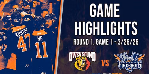 Owen Sound Attack at Flint Firebirds at Dort Financial Center