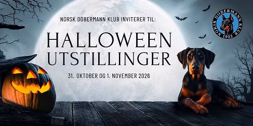 Norsk Dobermann Klub Halloween utstillinger