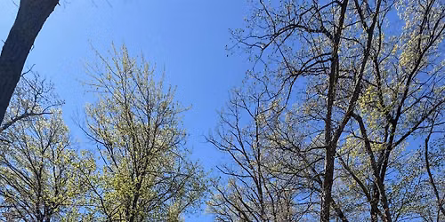 52 Hike Challenge - MN Chapter | September "Sunday Slowdown" Group Hike