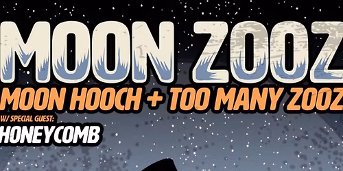 Moon Hooch