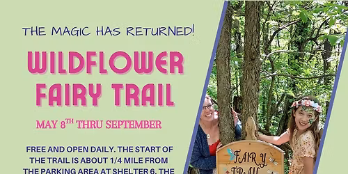 Wildflower Fairy Trail