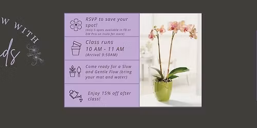 Gulf Orchids - Slow Flow