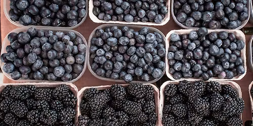 Tentative 'Pick-Your-Own' Start Date