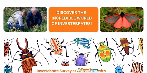 Invertebrate Survey 