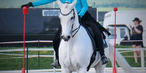 working equitation practice 