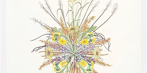 Public Tour | Plants as Medicine