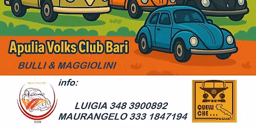 12\u00b0 RADUNO INTERNAZIONALE - BULLI & MAGGIOLINI