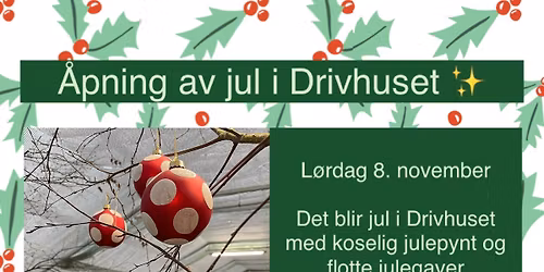 \u00c5pning av jul i Drivhuset \u2728