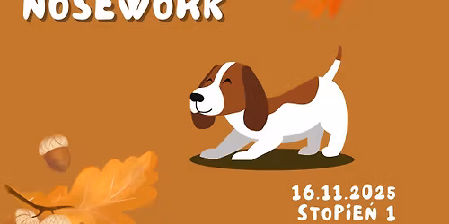 JESIENNE ZAWODY NOSEWORK PIES&PAZiA