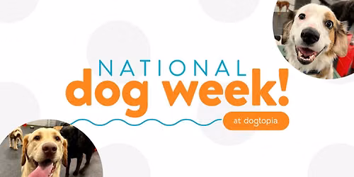 National Dog Week at Dogtopia Warwick