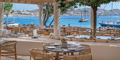 Aegean Feast - Greek Supper Club