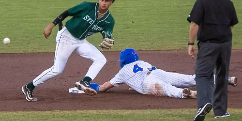 Florida Gators vs. Stetson Hatters