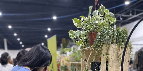 Akoko Botanical Bazaar