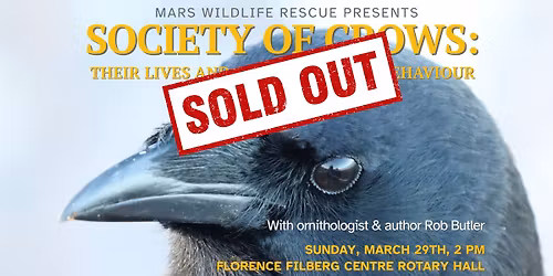 Society of Crows with Dr. Rob Butler