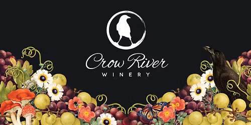 Trent Shaw acoustic lounge